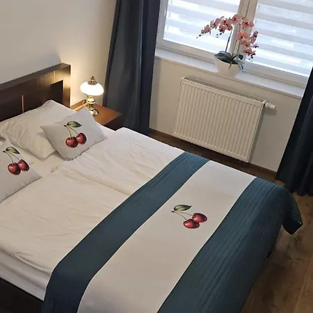 Apartament Wiśniowy Ogród Z Garażem