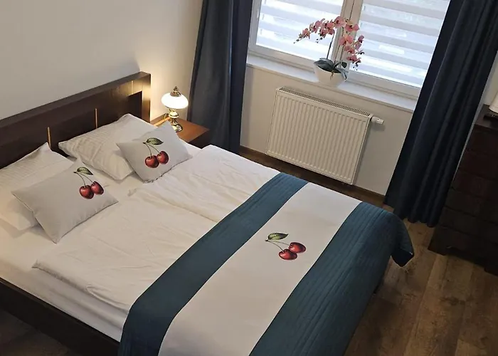 Apartament Wiśniowy Ogród Z Garażem