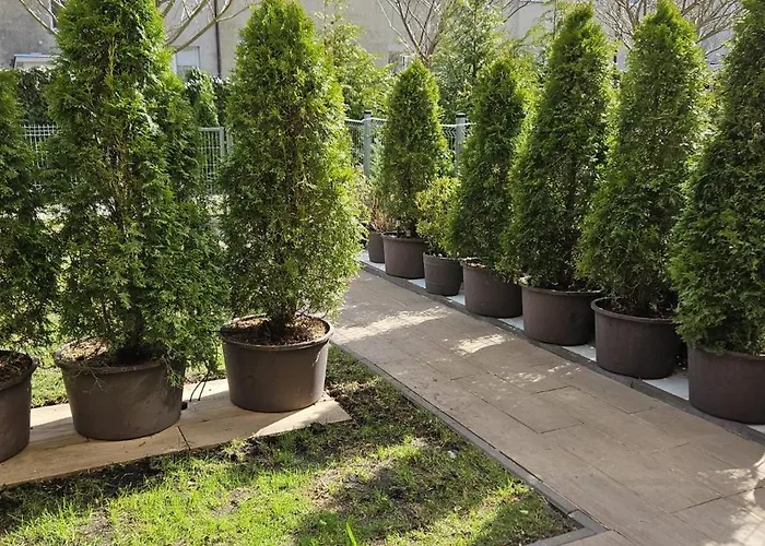 Wiśniowy Ogród Z Garażem Apartament *